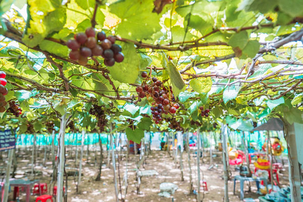 e1db9bb459a82d74bcf7ead8e105ce63_1762930684_2178.jpg e1db9bb459a82d74bcf7ead8e105ce63_1762930684_2178.jpg