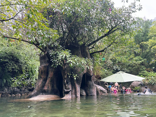 7127d54b0bc9c00243a1121044a1f310_1764556475_7726.jpg 7127d54b0bc9c00243a1121044a1f310_1764556475_7726.jpg