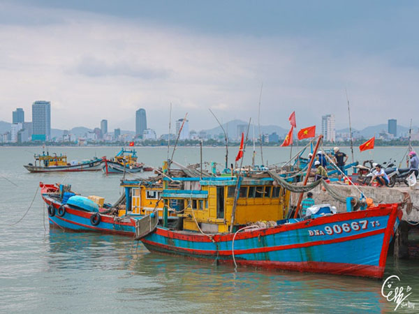 3b11e815c28b000f0c25a76855364405_1768795702_8849.jpg 3b11e815c28b000f0c25a76855364405_1768795702_8849.jpg